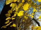 DSCN2911.webp