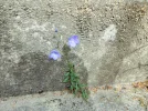 DSCF8708 (2).webp