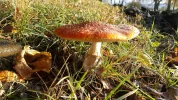 20161112_151150.webp