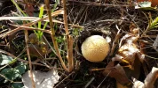20161112_151214.webp