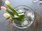 IMG_1150.webp
