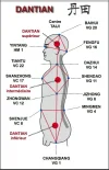 DT.webp