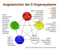 angstzeichender5elementexy.webp