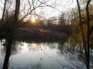 DSCN2973.webp