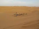 DSCN0170.webp