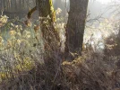 DSCN2994.webp