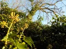 DSCN3001.webp