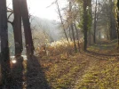 DSCN2995.webp