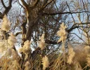 DSCN3018 (2).webp