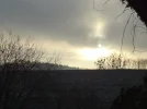 DSC00735 (1).webp