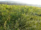 DSCN3031.webp