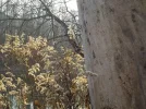 DSCN3048.webp