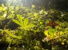 DSCN3075.webp