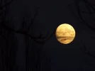 DSCF8837.webp