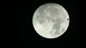 PIC_0018.webp
