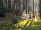 DSCN3080.webp