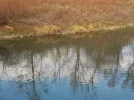 DSCN3105.webp