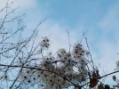 DSCN3100.webp