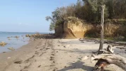 DSCF6227.webp