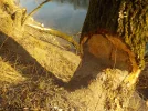 DSCN3044.webp