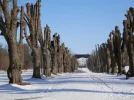 P3230135.webp