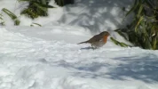 DSCF0349.webp