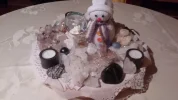 CAM01351.webp