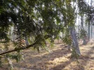 DSCN3133.webp