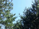 20160828_121352_resize.webp
