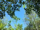 20160828_120238_resize.webp
