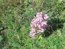 20160829_114316_resize.webp
