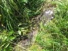 20160828_121001_resize.webp
