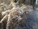 DSCN3169.webp