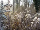 DSCN3170.webp