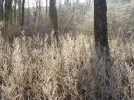 DSCN3163.webp