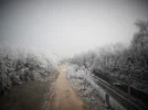 DSCF9324 (4).webp