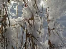 DSCN3195.webp