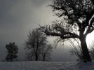 DSCN3194.webp