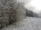 DSCN3179.webp