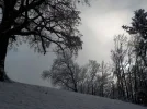 DSCN3187.webp