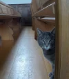 DSCN3212 (2).webp