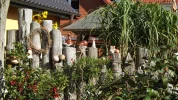 DSCF5629.webp