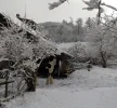 DSCN3180 (2).webp