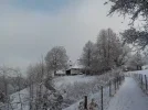 DSCN3189.webp