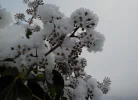 DSCN3203 (2).webp