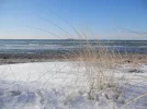 P3230131.webp