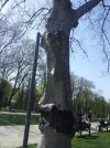 20160402_140003R.webp