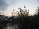IMG_2779R.webp