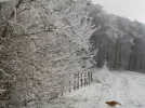 DSCN3177.webp