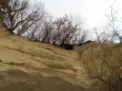DSCN3238.webp